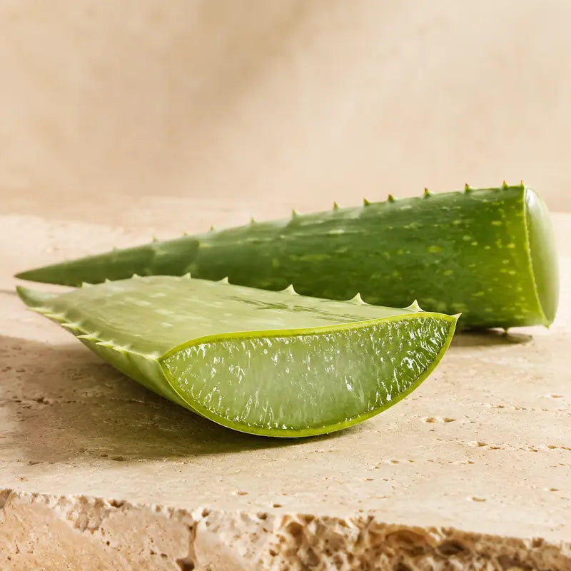 Fresh aloe vera gel used in Complete Renewal Glow Face Mask
